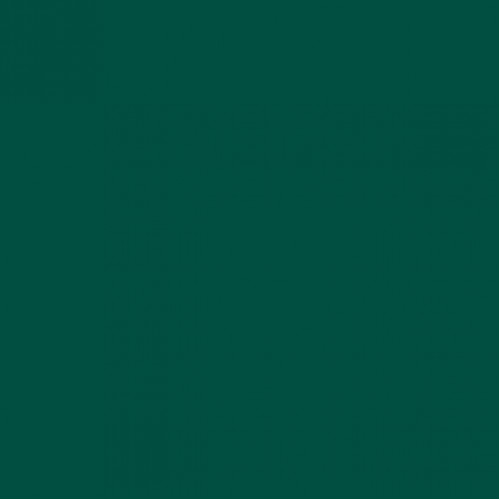 Спортивный линолеум Tarkett OMNISPORTS R65 FOREST GREEN Спортивный линолеум Tarkett OMNISPORTS R65 FOREST GREEN