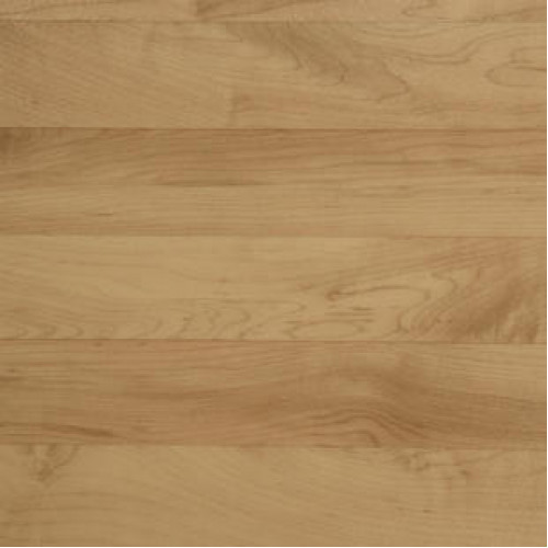 Спортивный линолеум Tarkett OMNISPORTS R65 OMNISPORTS MAPLE